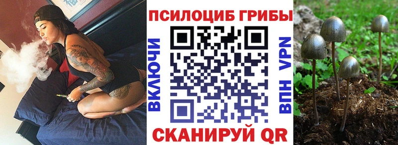 мориарти какой сайт  Дербент  Псилоцибиновые грибы Magic Shrooms 
