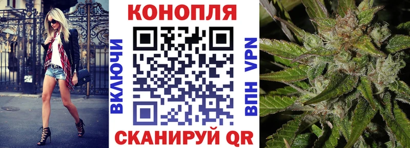 Марихуана конопля  Дербент 